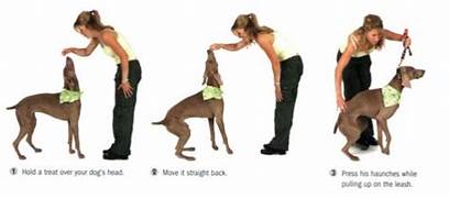 teaching sit